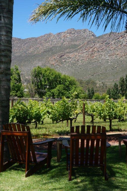 Long Acres Cottages Montagu Dış mekan fotoğraf